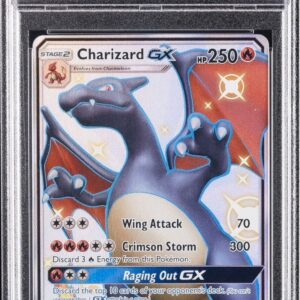 2019 POKEMON SUN & MOON HIDDEN FATES #SV49 FA/CHARIZARD GX HIDDEN FATES